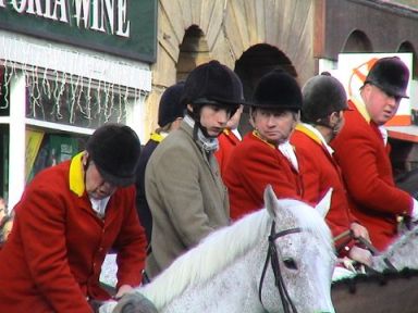 Fat inbred redcoated hunters